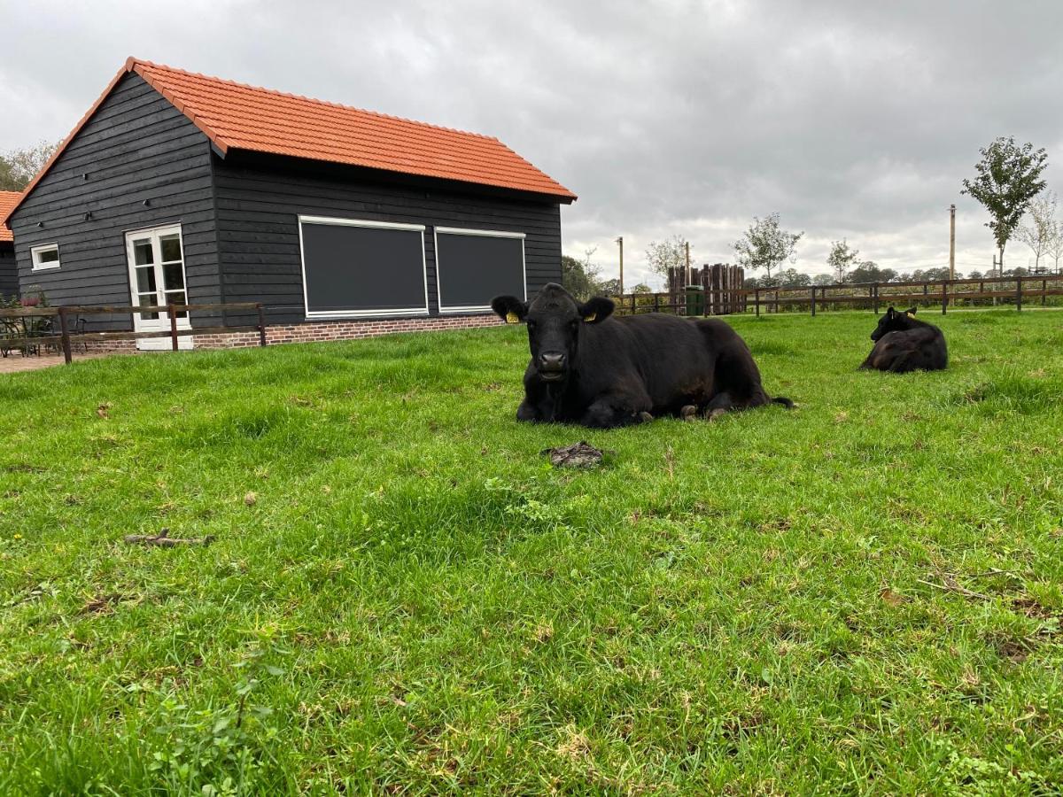 Villa Met De Kippen Op Stok - Vakantiehuisjes Baexem Exterior foto