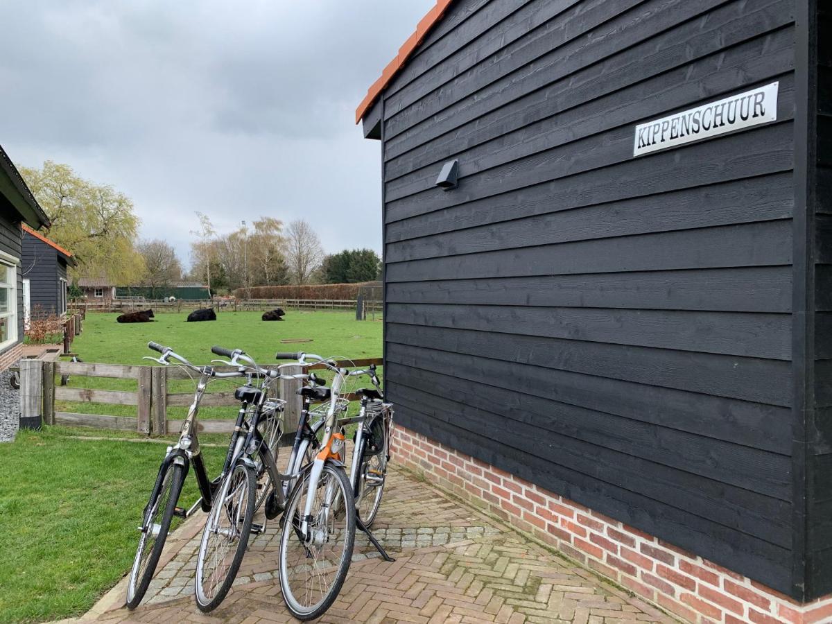 Villa Met De Kippen Op Stok - Vakantiehuisjes Baexem Exterior foto